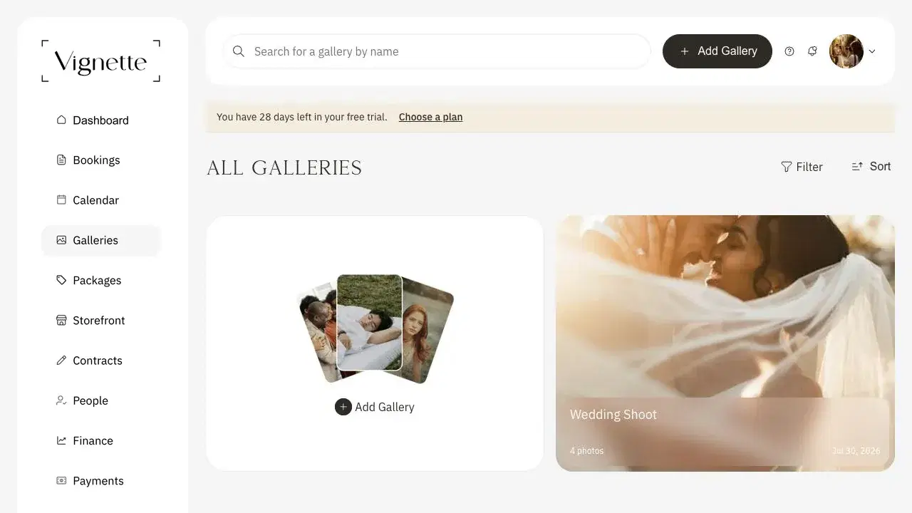 Vignette gallery workspace with a photographic client gallery